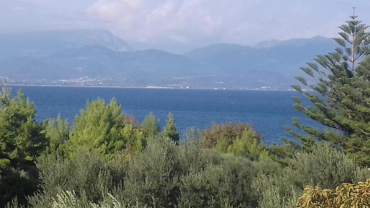 Panormos Serene Nests - Gateways To Achaia Apartment ซาโธเปียกอส ภายนอก รูปภาพ